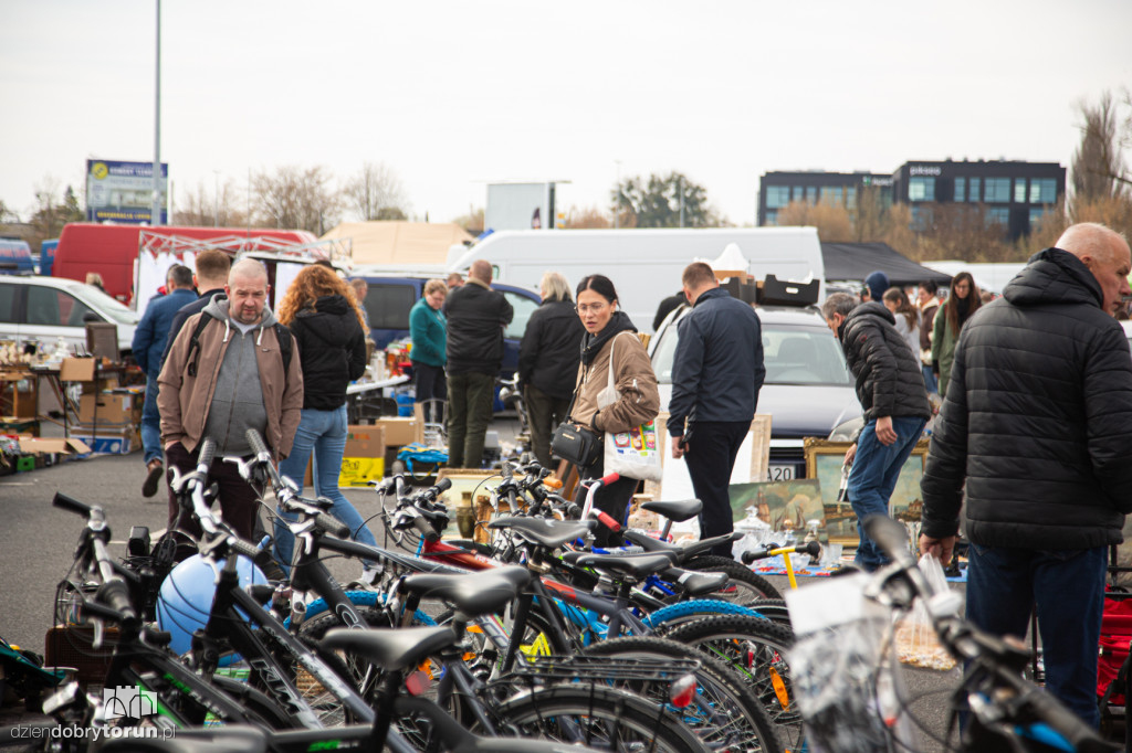 Pchli targ w Toruniu