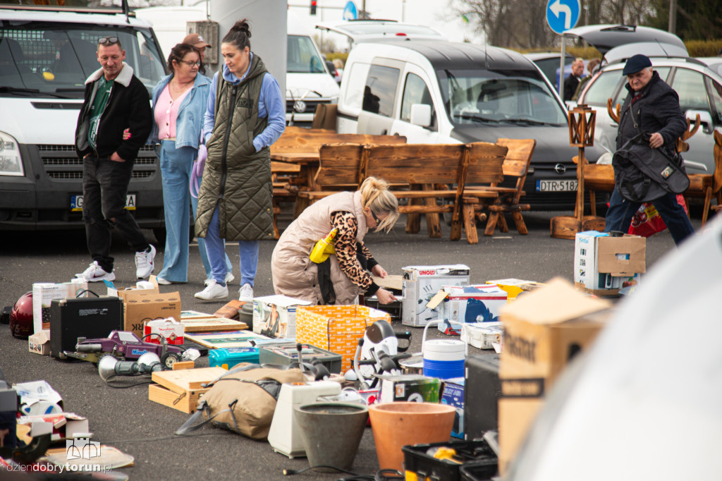 Pchli targ w Toruniu