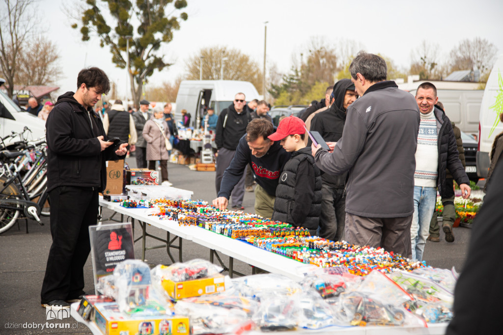 Pchli targ w Toruniu