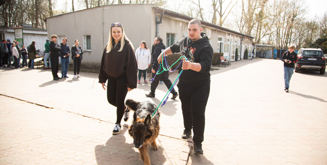 Spacer z psami ze schroniska w Toruniu