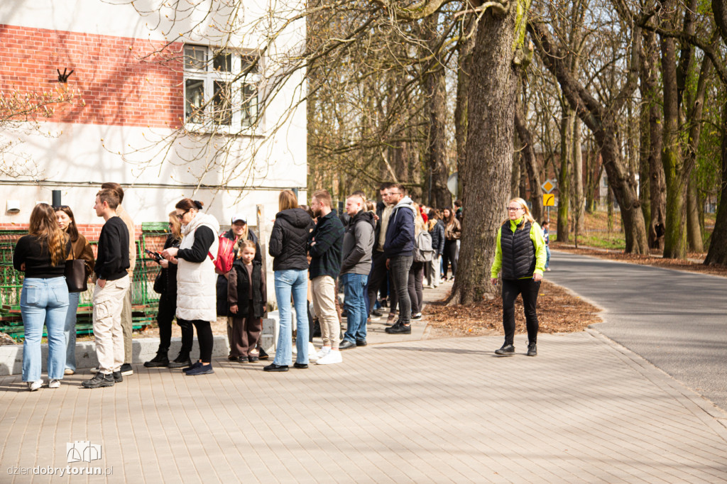 Spacer z psami ze schroniska w Toruniu