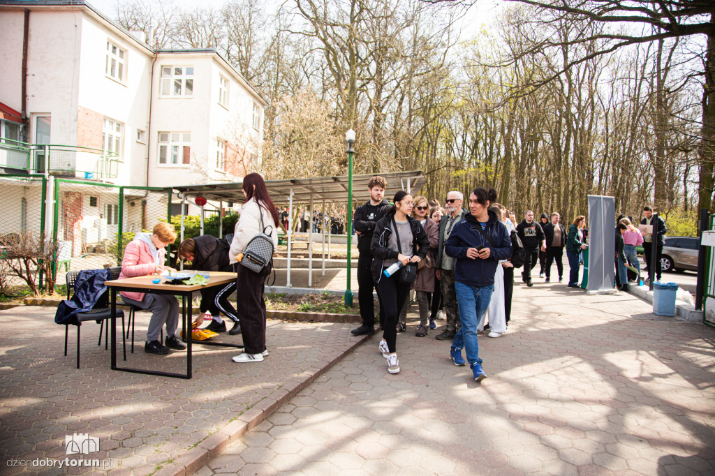 Spacer z psami ze schroniska w Toruniu