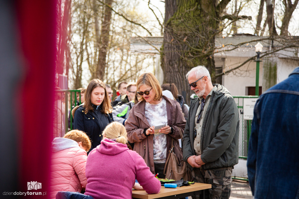 Spacer z psami ze schroniska w Toruniu