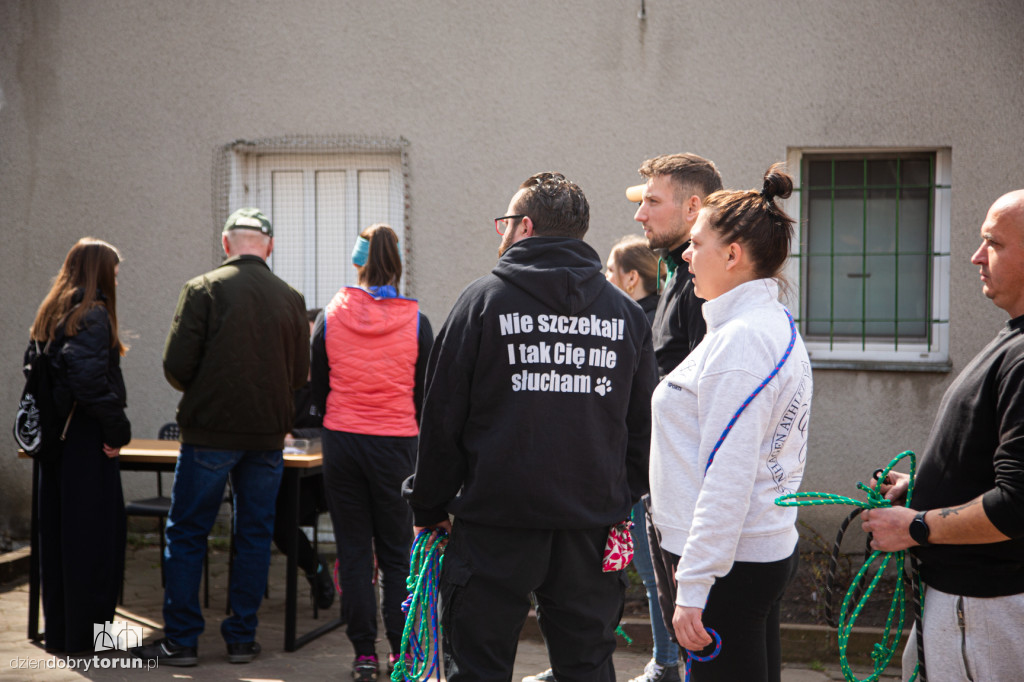 Spacer z psami ze schroniska w Toruniu