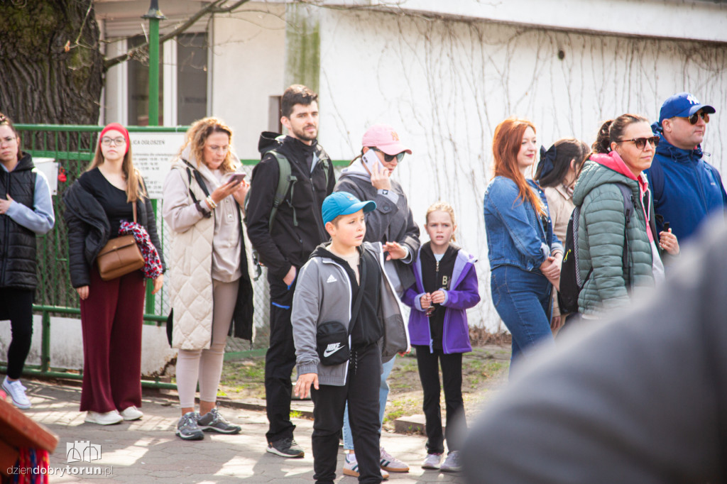 Spacer z psami ze schroniska w Toruniu