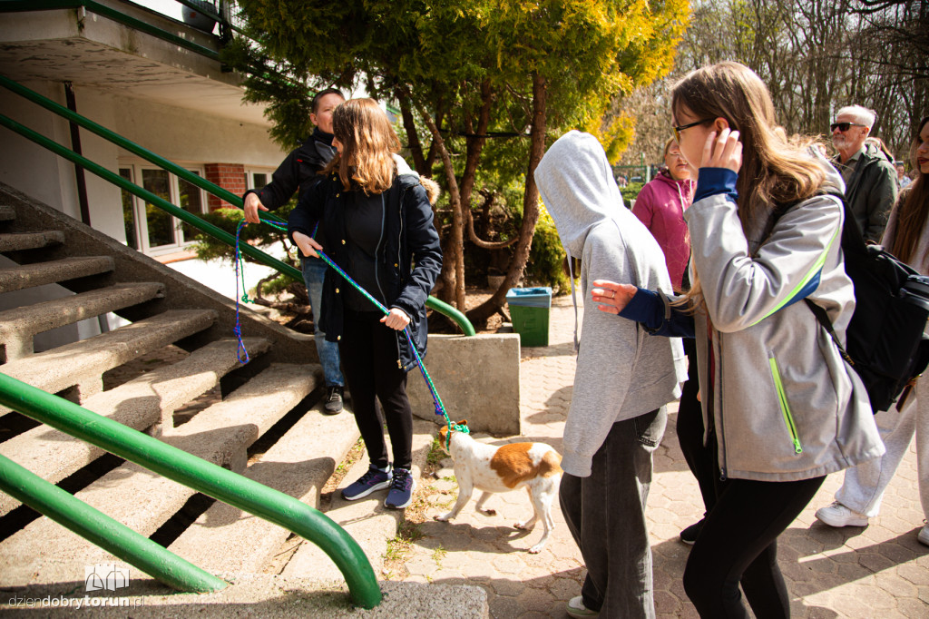 Spacer z psami ze schroniska w Toruniu