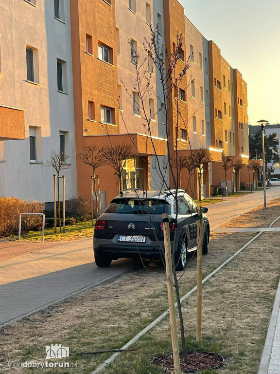 Parkowanie po toruńsku