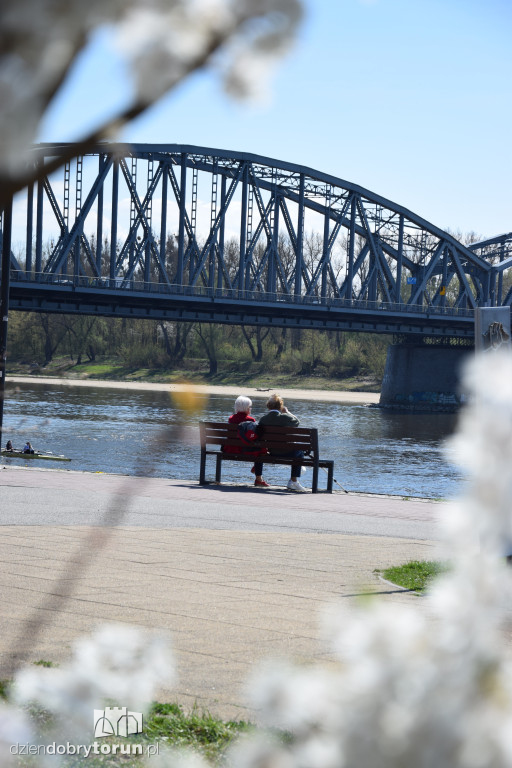 Toruńskie bulwary w wiosennej odsłonie