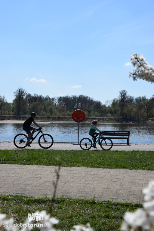 Toruńskie bulwary w wiosennej odsłonie
