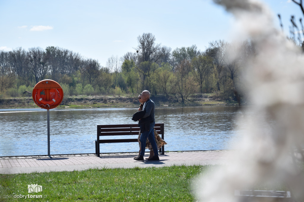 Toruńskie bulwary w wiosennej odsłonie