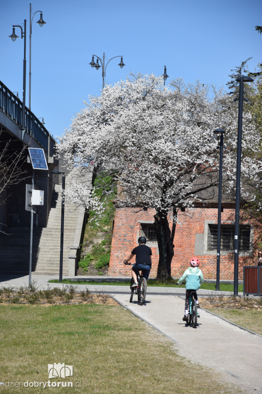 Toruńskie bulwary w wiosennej odsłonie