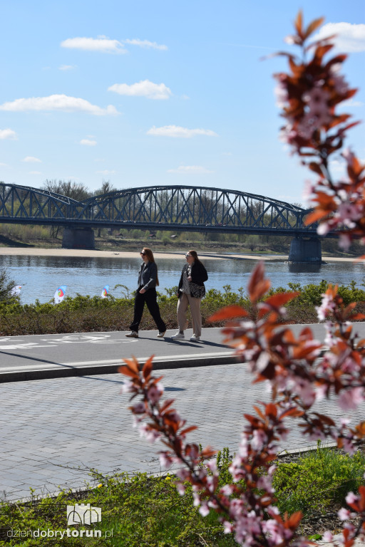 Toruńskie bulwary w wiosennej odsłonie