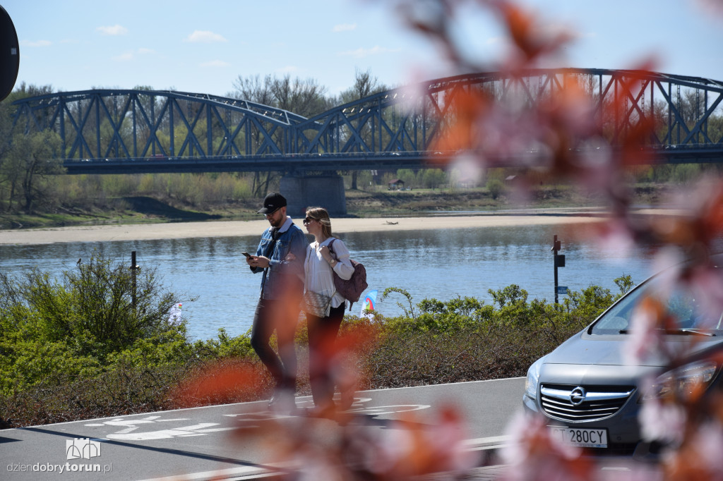 Toruńskie bulwary w wiosennej odsłonie