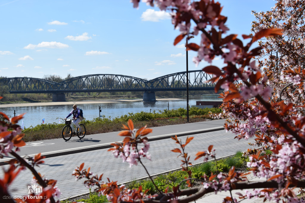 Toruńskie bulwary w wiosennej odsłonie