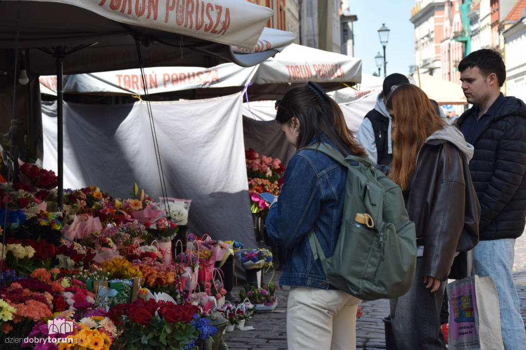 Wiosenne spacery na Starym Mieście