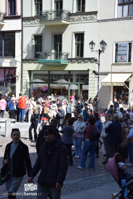 Wiosenne spacery na Starym Mieście