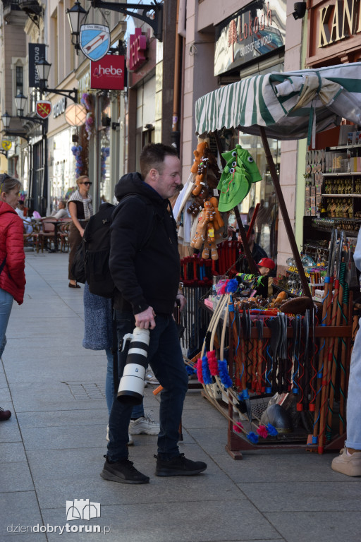 Wiosenne spacery na Starym Mieście