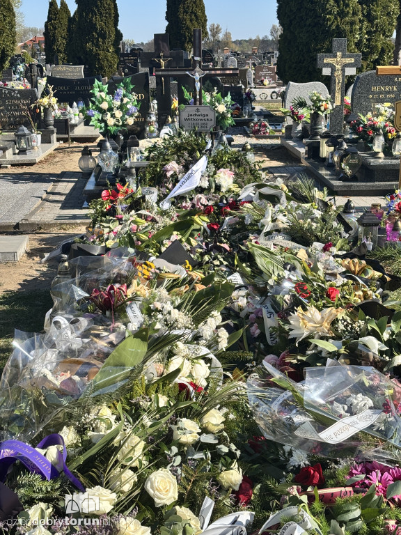 Morze kwiatów na grobie toruńskiej lekarki