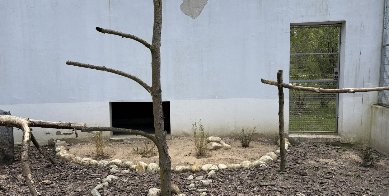 Puste klatki dla ptaków w Ciechocinku