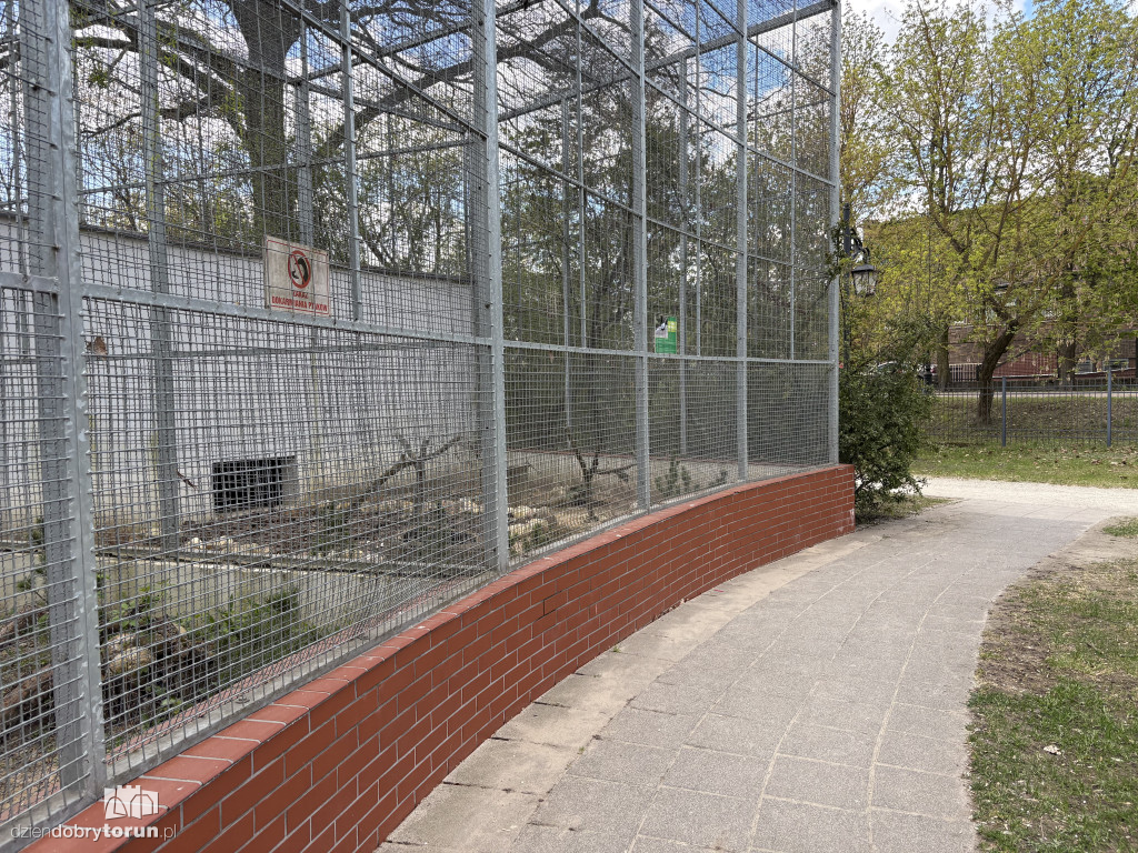 Puste klatki dla ptaków w Ciechocinku