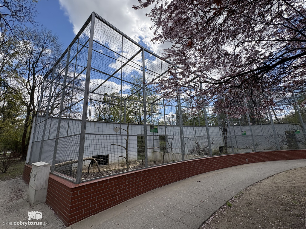 Puste klatki dla ptaków w Ciechocinku