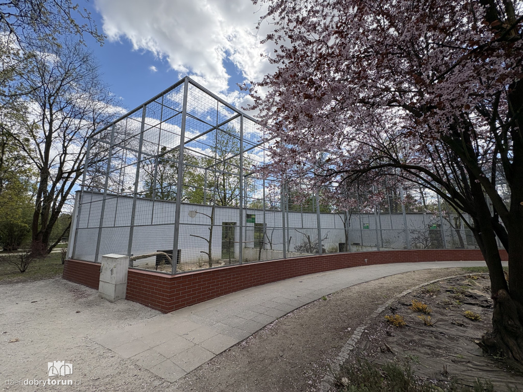 Puste klatki dla ptaków w Ciechocinku