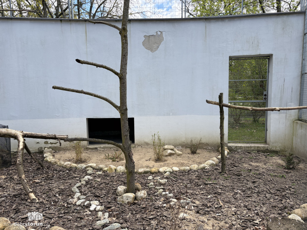 Puste klatki dla ptaków w Ciechocinku