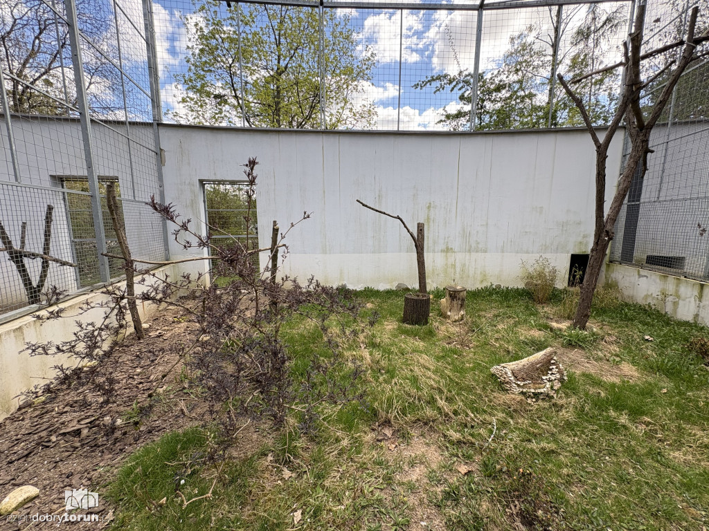 Puste klatki dla ptaków w Ciechocinku