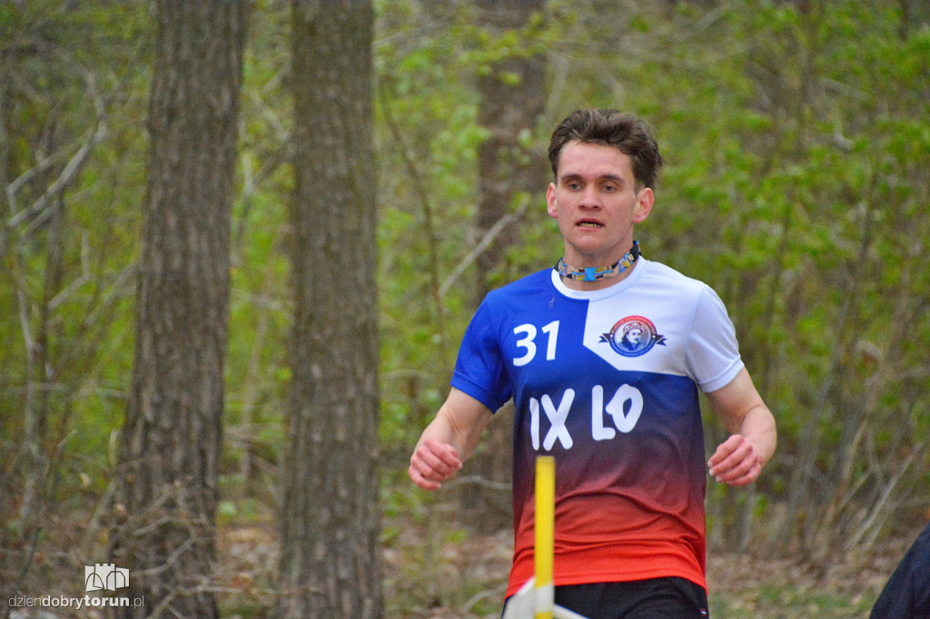 Sobotni Parkrun w Toruniu