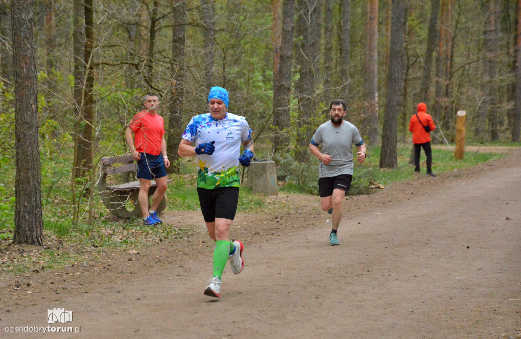 Sobotni Parkrun w Toruniu