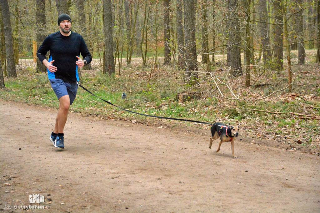 Sobotni Parkrun w Toruniu
