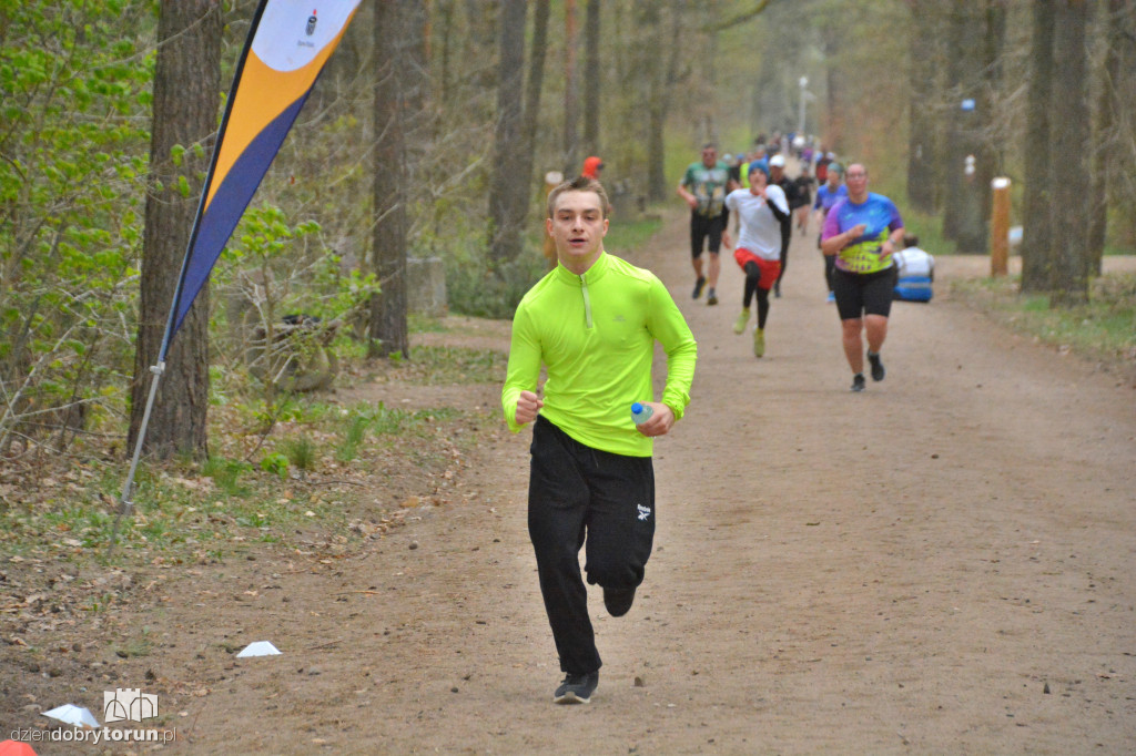 Sobotni Parkrun w Toruniu