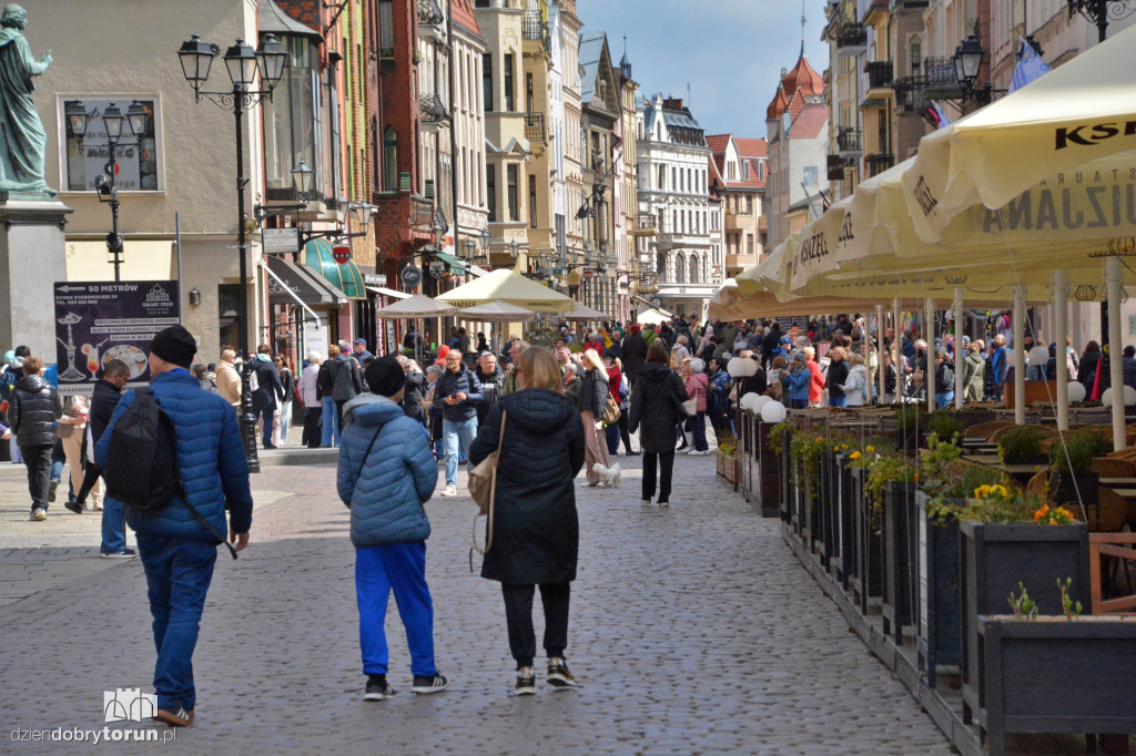 Słoneczna sobota w Toruniu