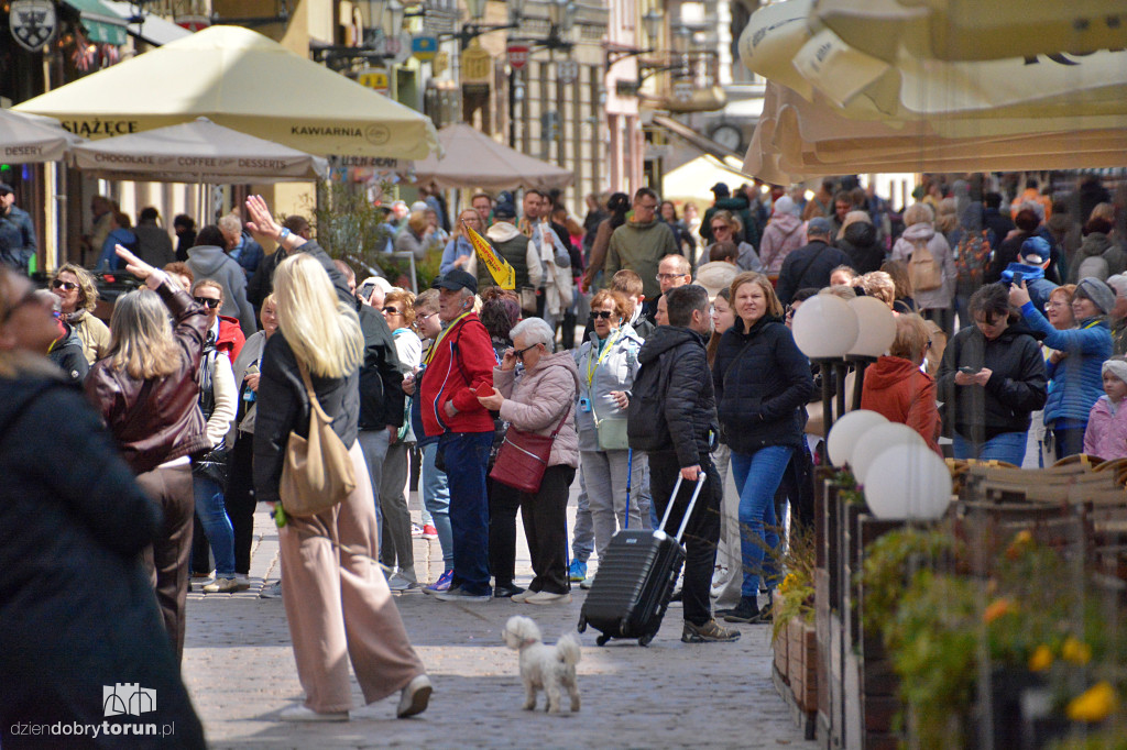 Słoneczna sobota w Toruniu