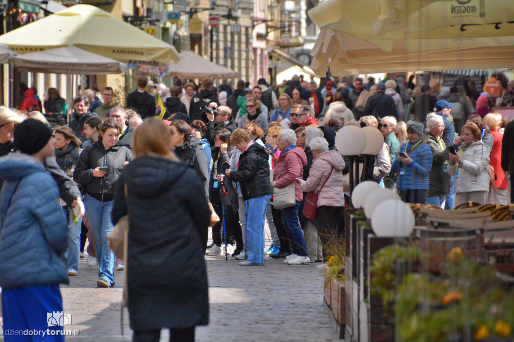 Słoneczna sobota w Toruniu
