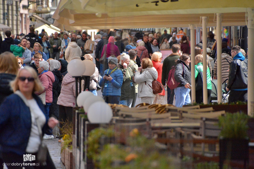 Słoneczna sobota w Toruniu