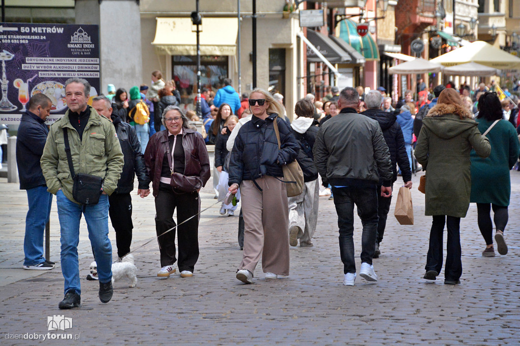 Słoneczna sobota w Toruniu