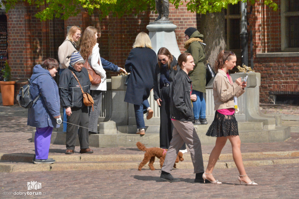 Słoneczna sobota w Toruniu