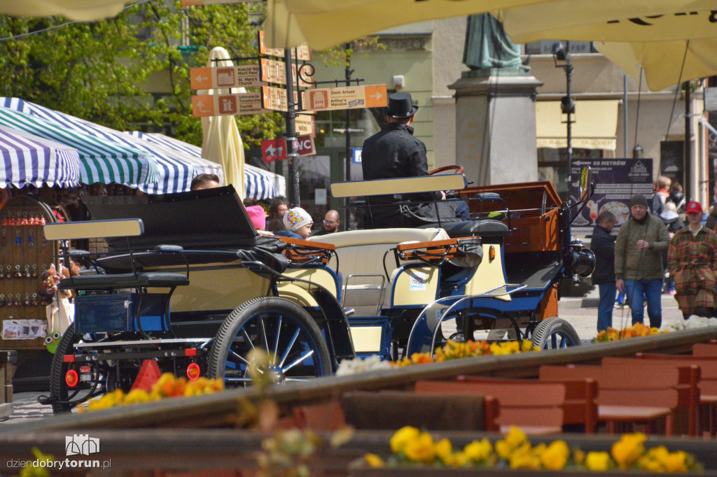 Słoneczna sobota w Toruniu