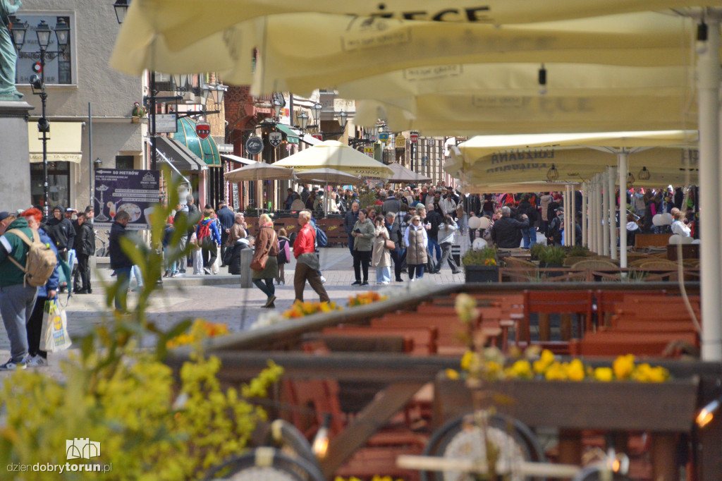 Słoneczna sobota w Toruniu