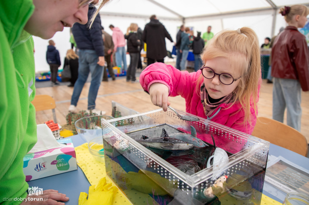 Festiwal Nauki i Sztuki w Młynie Wiedzy