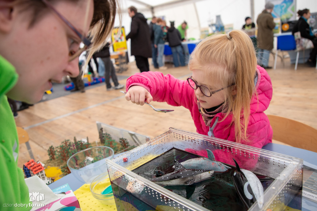 Festiwal Nauki i Sztuki w Młynie Wiedzy