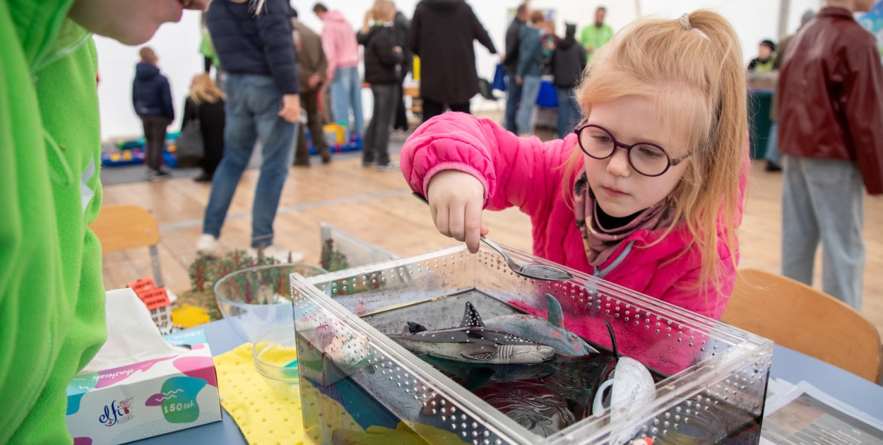 Festiwal Nauki i Sztuki w Młynie Wiedzy