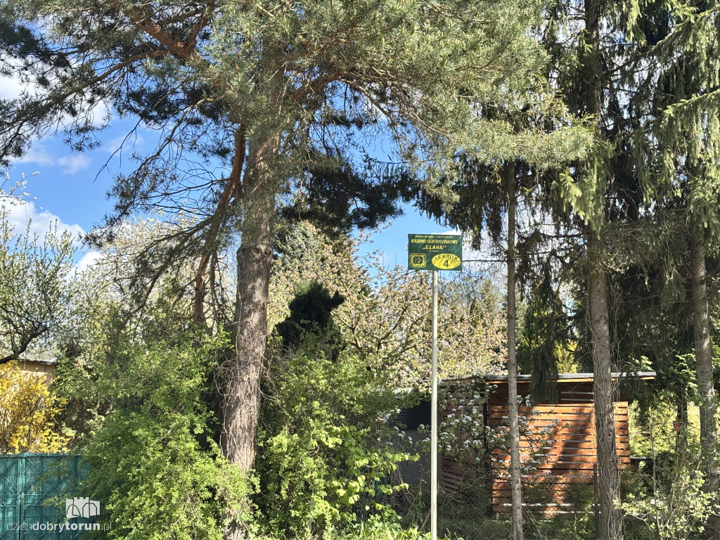 Protest działkowców ROD „Elana”