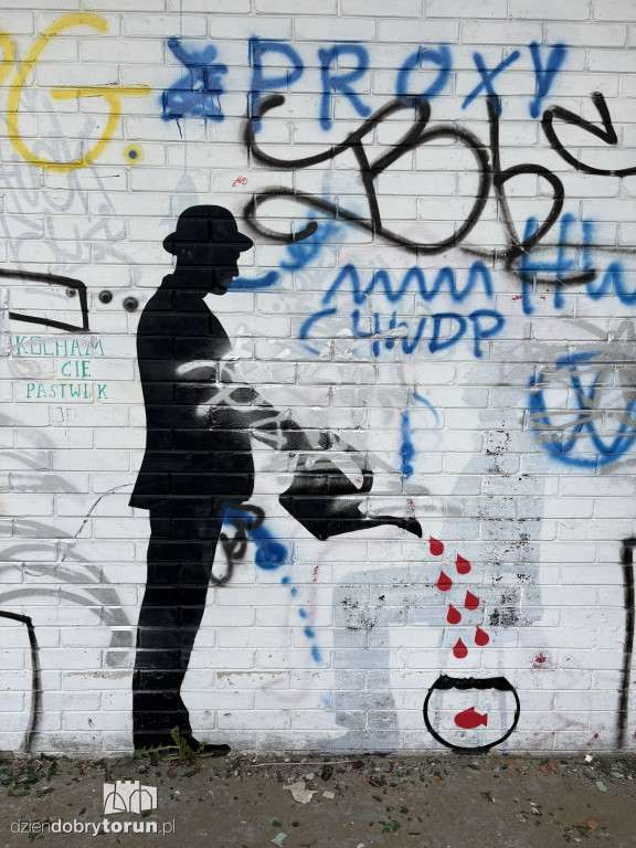 Zrujnowany basen w Ciechocinku