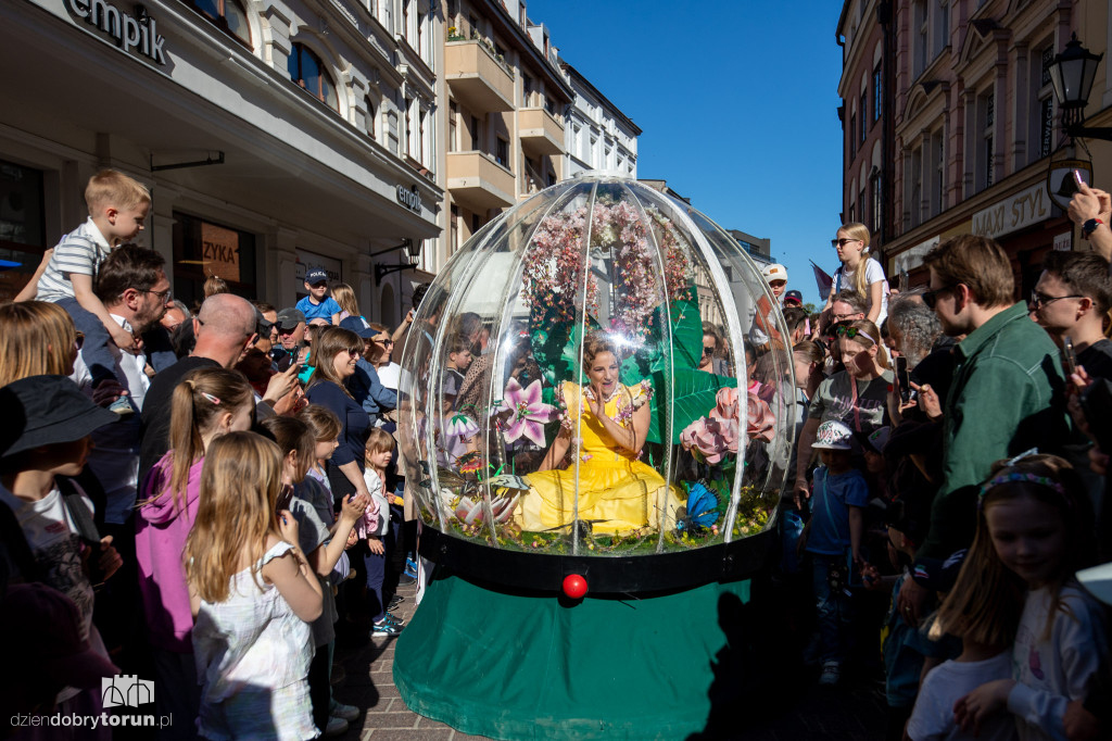 Teatry Uliczne - Enchanted Flower Globe
