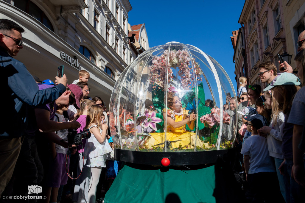 Teatry Uliczne - Enchanted Flower Globe
