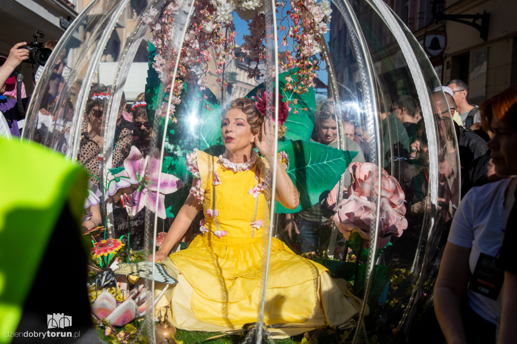 Teatry Uliczne - Enchanted Flower Globe