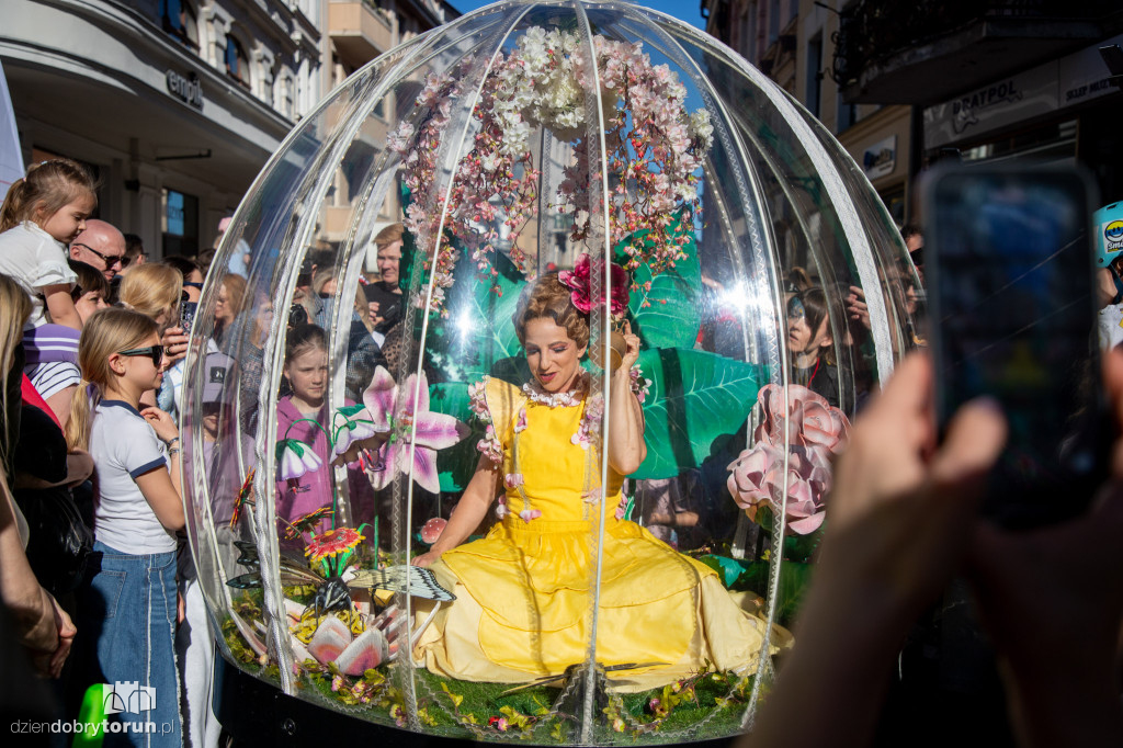 Teatry Uliczne - Enchanted Flower Globe