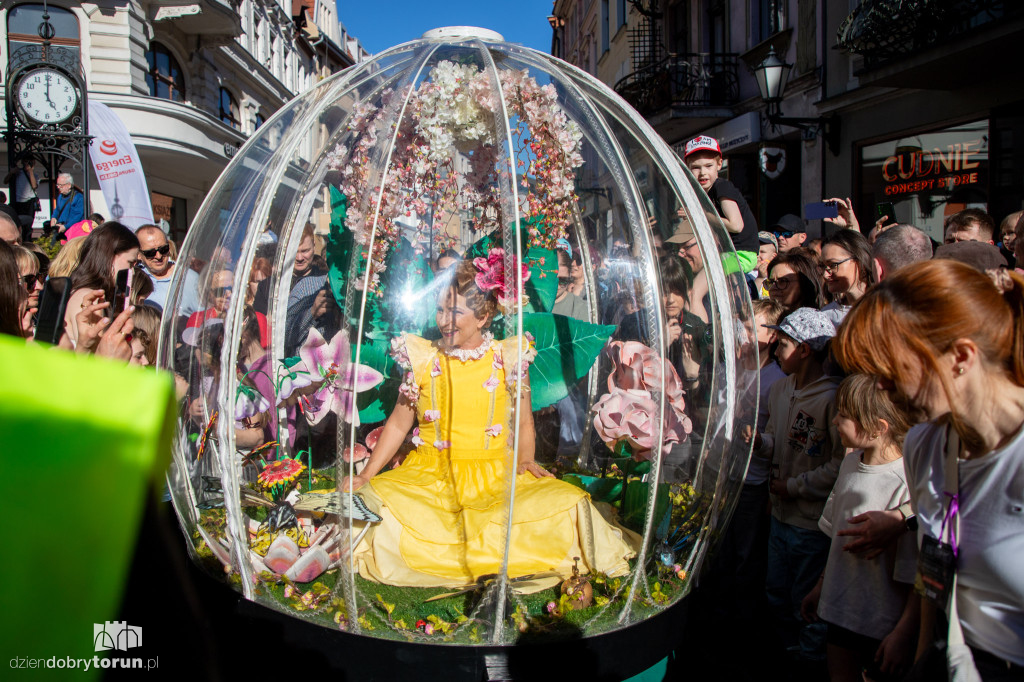 Teatry Uliczne - Enchanted Flower Globe